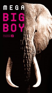 Mega Big Boy - 12pcs (メガビッグボーイ -12個入)