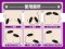 圖片 6